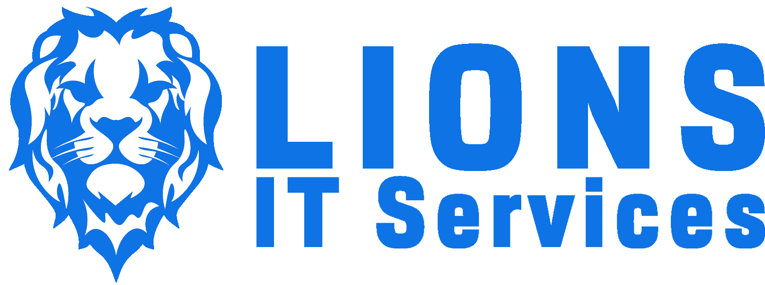 Lions IT Consulting